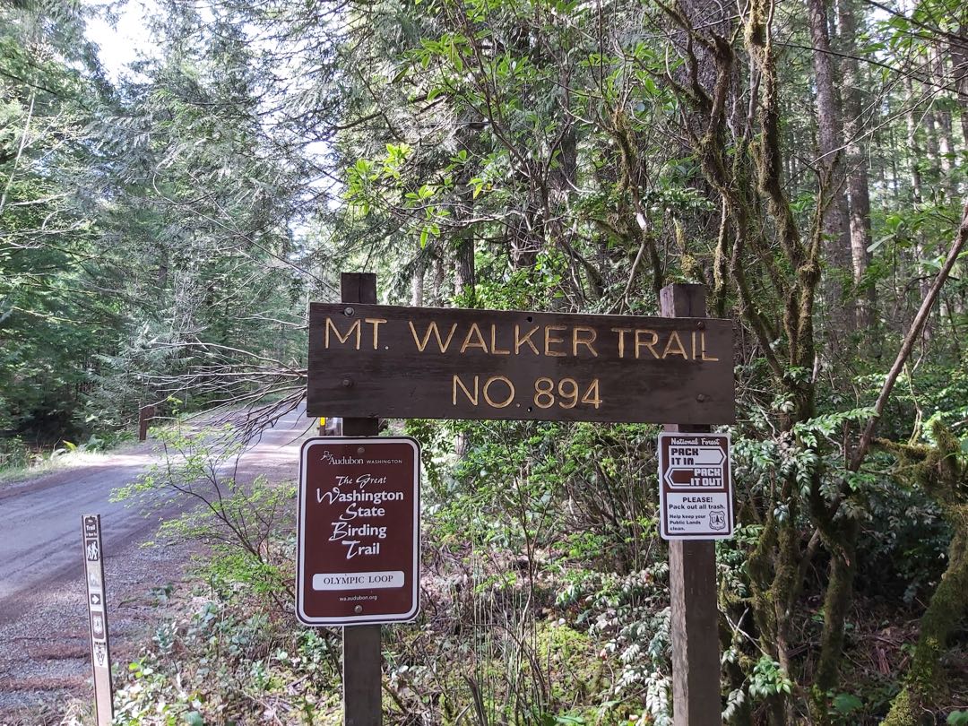 Mt. Walker Trail