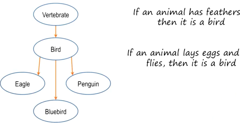 Put the sentence classifying birds in to language of logic