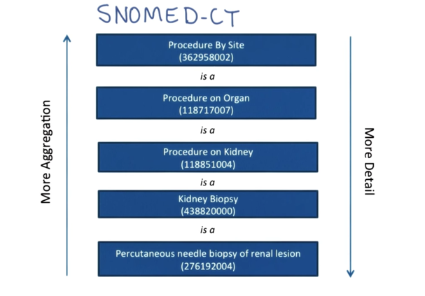 SNOMED-CT Hierachy