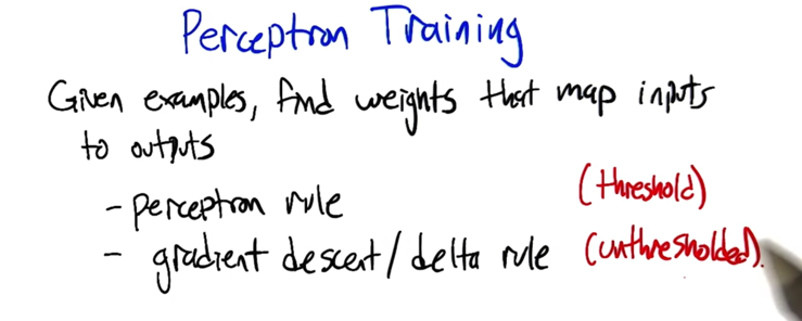 Perceptron Training