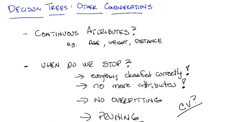 Decision Trees Other Considerations